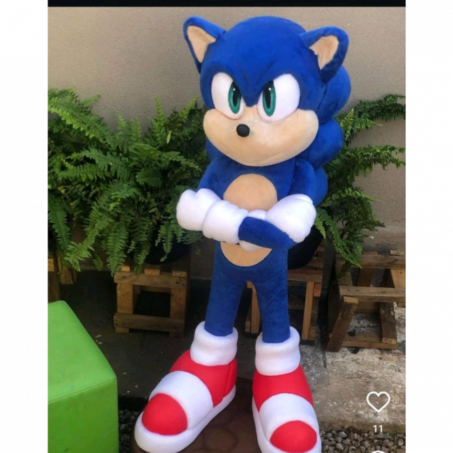 SONIC 1,20M