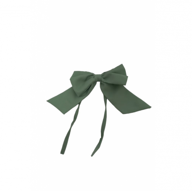 LAÇO PERSONALIZAÇÃO PELÚCIA VERDE 15C CM TECIDO