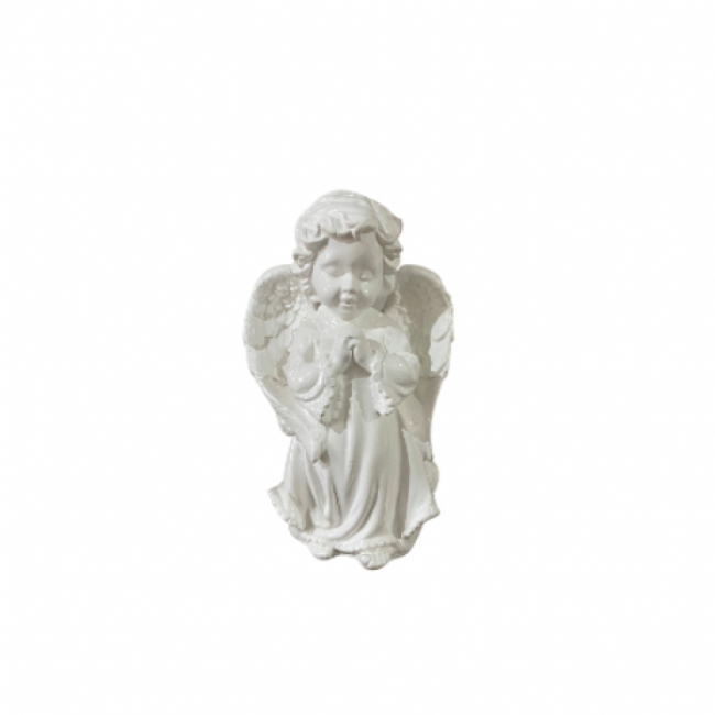 Anjo 6